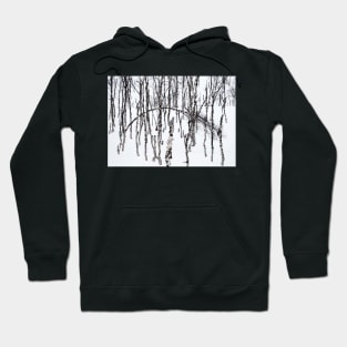 Norwegian wood Hoodie